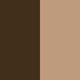 Terra