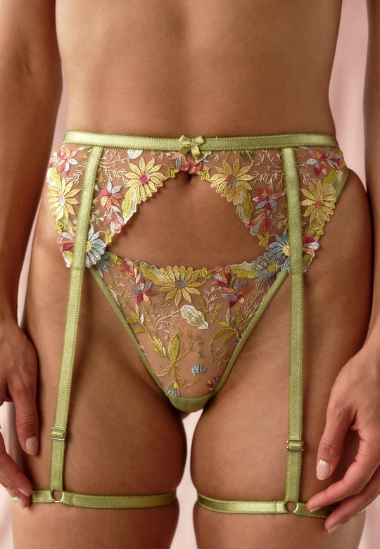 Aries Pou Wider Brief