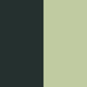 Algae