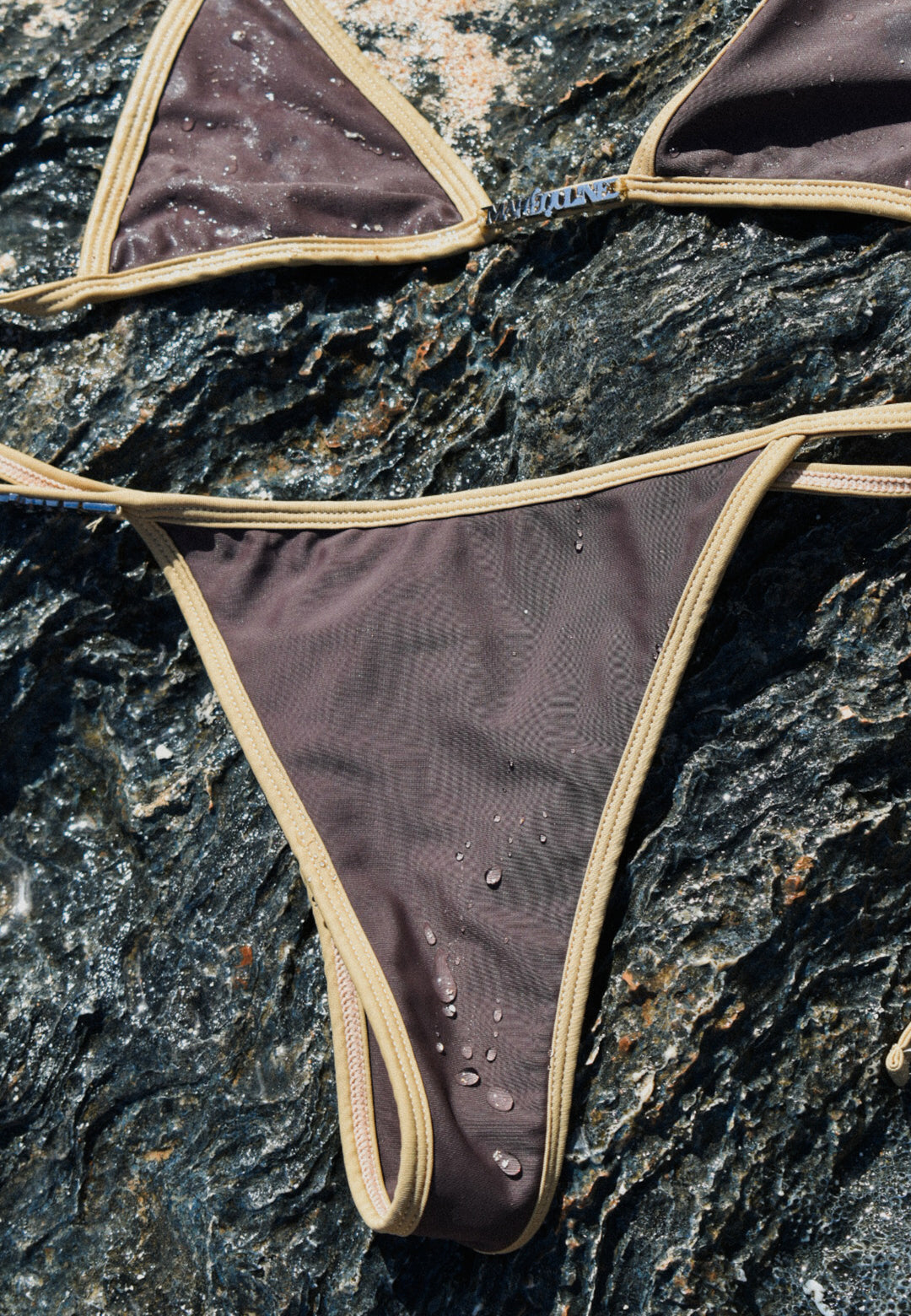 Terra Bikini Bottom